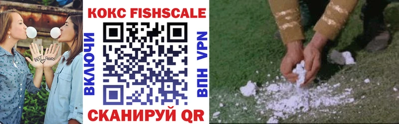 КОКАИН Fish Scale  Энем 
