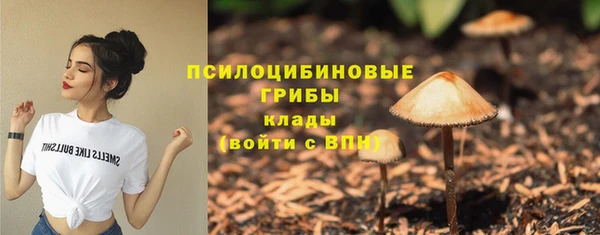 ALPHA PVP Михайловск