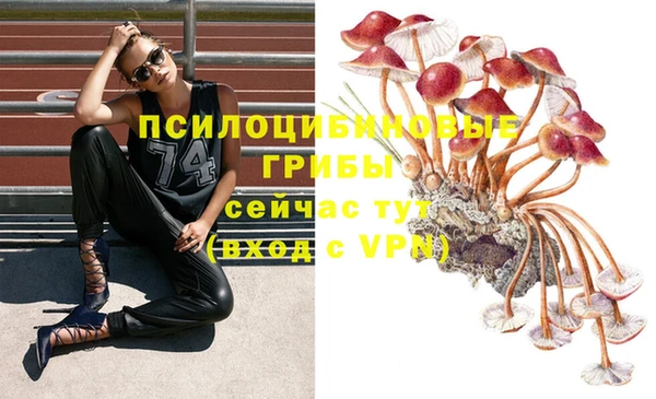 прущая мука Аксай