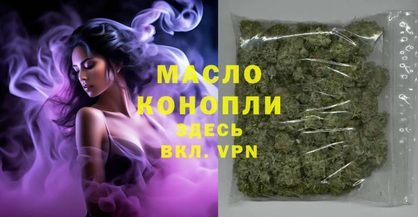 стаф Медногорск